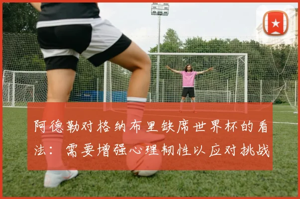 阿德勒对格纳布里缺席世界杯的看法：需要增强心理韧性以应对挑战