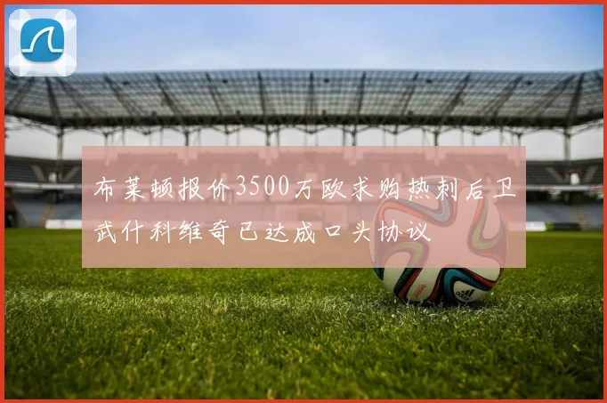 布莱顿报价3500万欧求购热刺后卫武什科维奇已达成口头协议